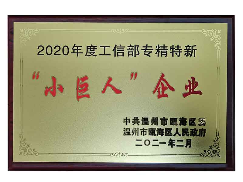 專精特新小巨人企業(yè) 專精特新小巨人企業(yè)